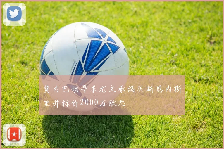 费内巴切寻求尤文承诺买断恩内斯里并标价2000万欧元