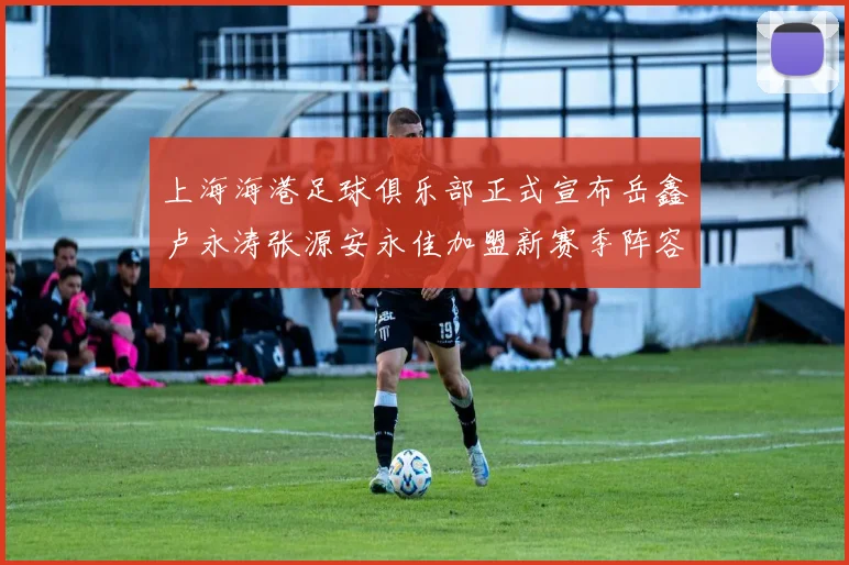 上海海港足球俱乐部正式宣布岳鑫卢永涛张源安永佳加盟新赛季阵容更新